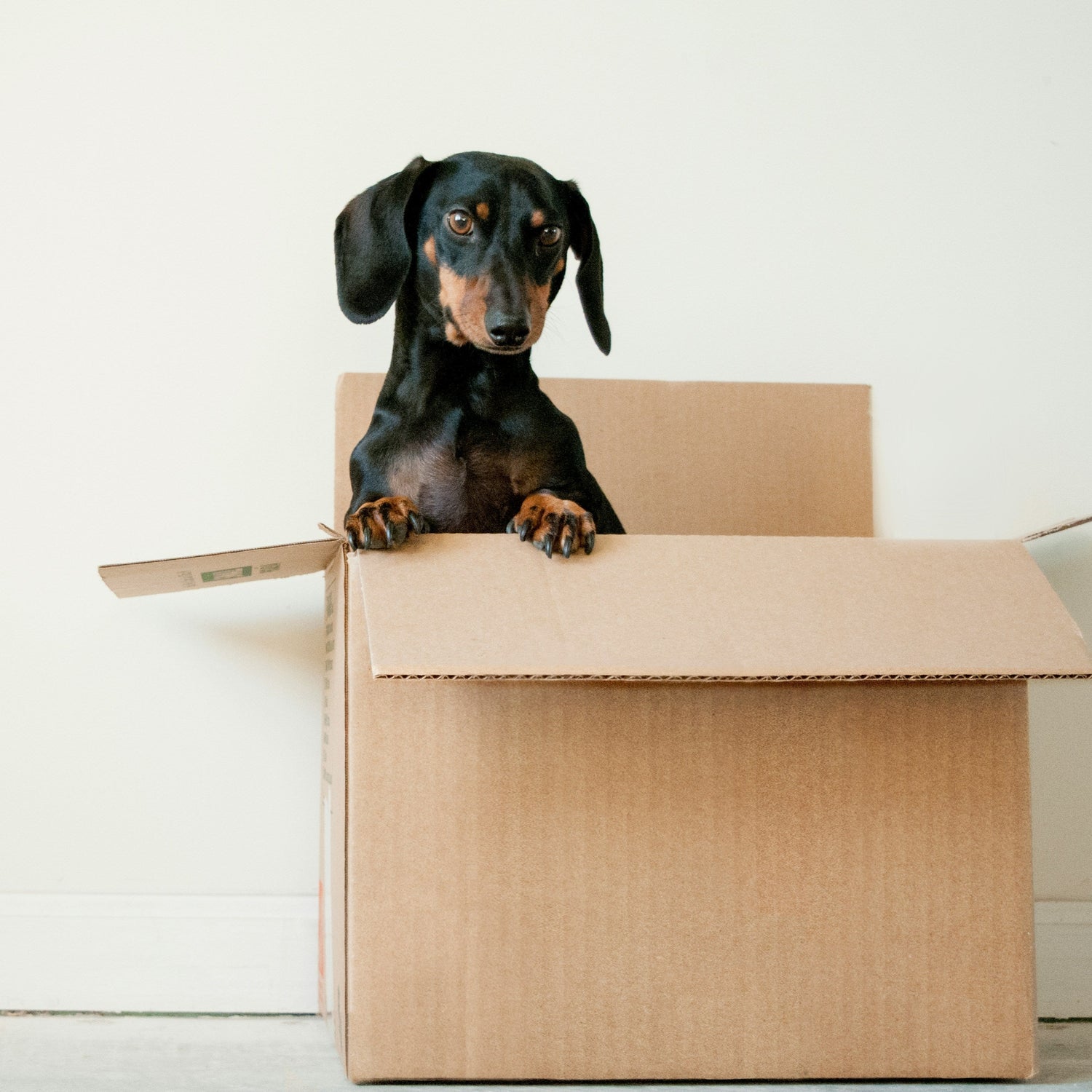 CleaningPal - Move in-Move out